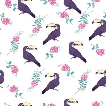 Seamless pattern with hand drawn toucan on white background Stock Illustration