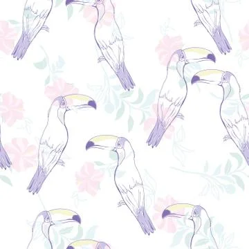 Seamless pattern with hand drawn toucan on white background Stock Illustration