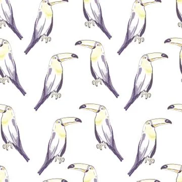 Seamless pattern with hand drawn toucan on white background Stock Illustration