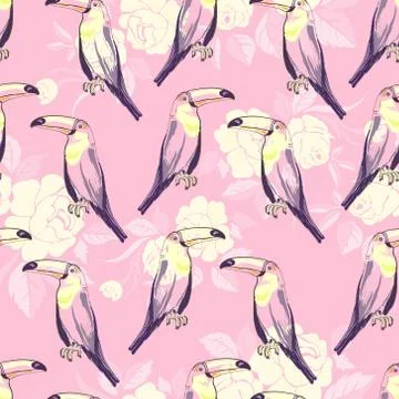 Seamless pattern with hand drawn toucan on white background Stock Illustration