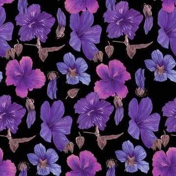 Seamless pattern of hand-drawn watercolor illustrations of Hawaiian hibiscus Stock Illustration