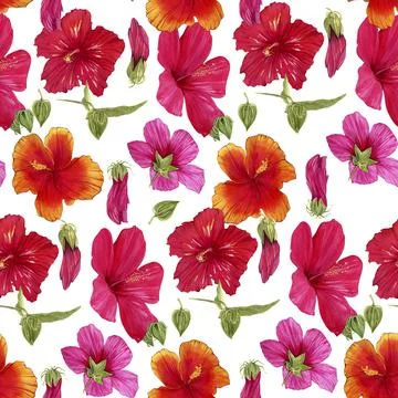 Seamless pattern of hand-drawn watercolor illustrations of Hawaiian hibiscus Stock Illustration