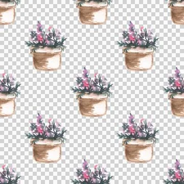 Seamless pattern of hand drawn watercolor flowers in pots on white background Stock Illustration