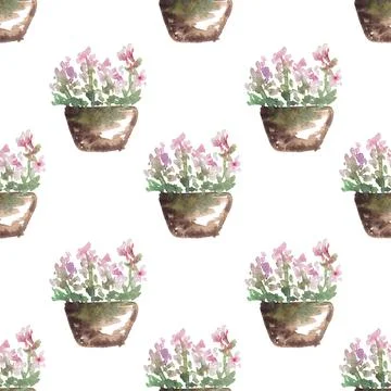 Seamless pattern of hand drawn watercolor flowers in pots on white background Stock Illustration