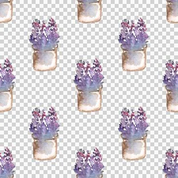 Seamless pattern of hand drawn watercolor flowers in pots on white background Stock Illustration