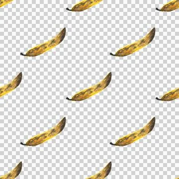 Seamless pattern of hand drawn watercolor bananas isolated on white background Stock Illustration