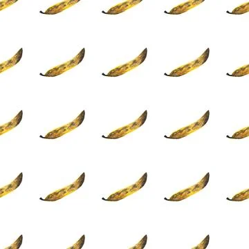 Seamless pattern of hand drawn watercolor bananas isolated on white background Stock Illustration