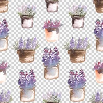 Seamless pattern of hand drawn watercolor flowers in pots on white background Stock-Illustration