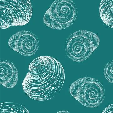 Seamless pattern hand drawn white seashells turquoise vector illustration Illustrazione stock