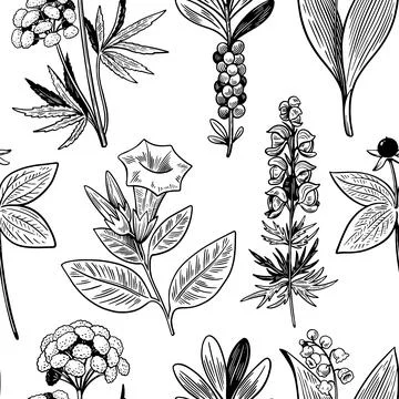Seamless pattern with hand drawn wild plants in vintage engraving style. Medical Stock Illustration