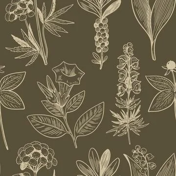 Seamless pattern with hand drawn wild plants in vintage engraving style. Medical Stock Illustration