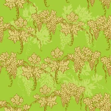 Seamless pattern - hand drawn wine grapes background Stock Illustration