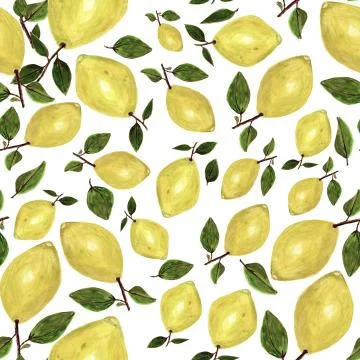 Seamless pattern with hand painted lemons and leaves on white Stock Photos