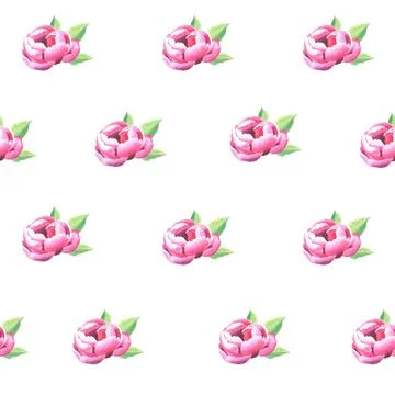 Seamless pattern with hand-painted watercolor peonies on a white background Stock Illustration