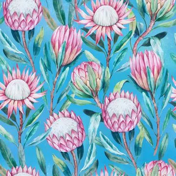 Seamless pattern with hand painted watercolor realistic protea flowers. Stock Illustration