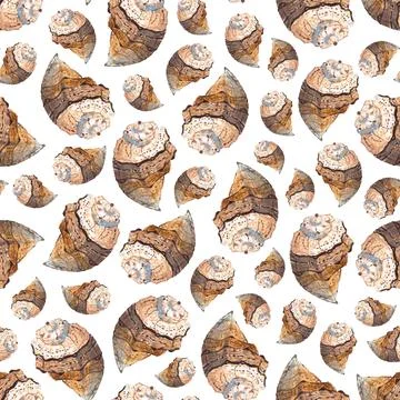 Seamless pattern of hand painted watercolor sea shells illustration on white Illustrazione stock