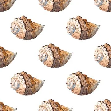 Seamless pattern of hand painted watercolor sea shells illustration on white イラスト素材