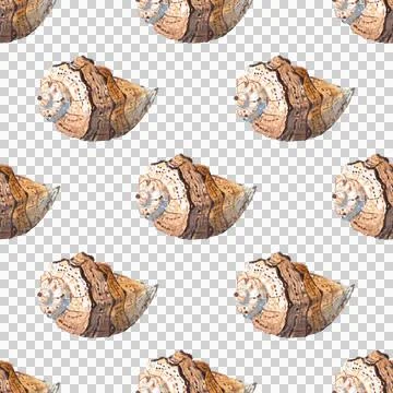 Seamless pattern of hand painted watercolor sea shells illustration on white 库存插图