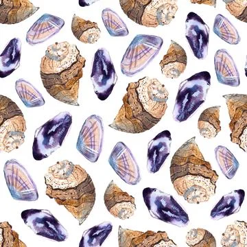 Seamless pattern of hand painted watercolor sea shells illustration on white 库存插图