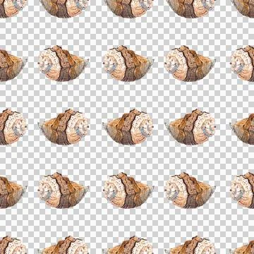 Seamless pattern of hand painted watercolor sea shells illustration on white Illustrazione stock