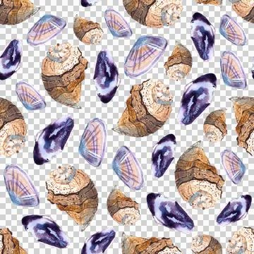 Seamless pattern of hand painted watercolor sea shells illustration on white Stockillustratie