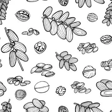 Seamless pattern hand sketched nuts Illustrazione stock