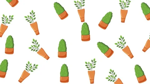 Seamless Pattern of Hanging Potted Indoor Plants and Greenery on White Stock Footage 345539483