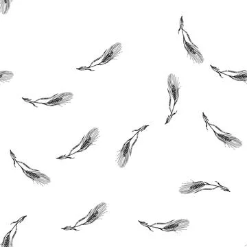 Seamless pattern harvest barley sketch hand drawn Stock Illustration