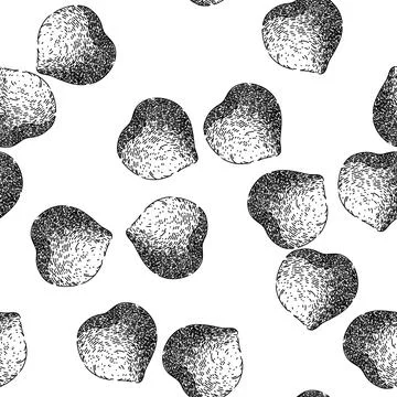 Seamless pattern hazelnut nut brown sketch hand drawn 스톡 일러스트