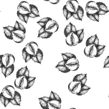 Seamless pattern hazelnut nut leaf sketch hand drawn 스톡 일러스트