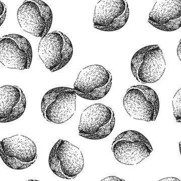 Seamless pattern hazelnut nut sketch hand drawn 스톡 일러스트