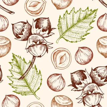 Seamless pattern with hazelnuts. Stock Illustration