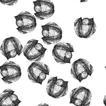 Seamless pattern health guarana fruit sketch hand drawn Stock Illustration