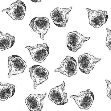 Seamless pattern healthy fig sketch hand drawn Stock Illustration