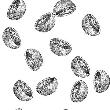 Seamless pattern healthy lentils sketch hand drawn Stock Illustration