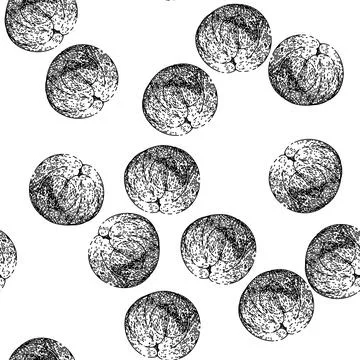 Seamless pattern healthy longan fruit sketch hand drawn Stock Illustration