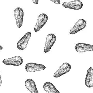 Seamless pattern healthy marrow vegetable sketch hand drawn 스톡 일러스트