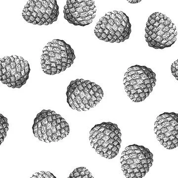 Seamless pattern healthy pine nut sketch hand drawn 库存插图
