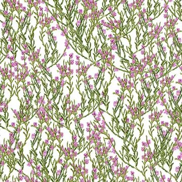 Seamless pattern with heather Stock Illustration