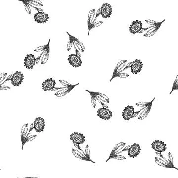 Seamless pattern herb calendula sketch hand drawn Illustrazione stock