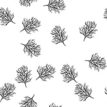 Seamless pattern herb dill sketch hand drawn Stock Illustration
