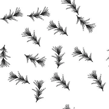 Seamless pattern herb rosemary sketch hand drawn 스톡 일러스트