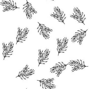 Seamless pattern herb tarragon sketch hand drawn Stock Illustration