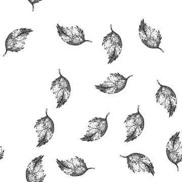 Seamless pattern herbal nettle sketch hand drawn Stock Illustration