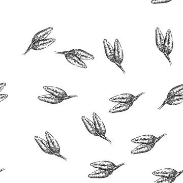 Seamless pattern herbal sage sketch hand drawn Illustrazione stock