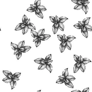 Seamless pattern herbal thyme leaf sketch hand drawn Stock Illustration