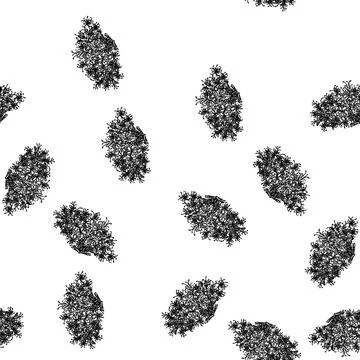 Seamless pattern herbal valerian sketch hand drawn Stock Illustration
