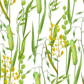 Seamless pattern with herbs and cereal grass. Floral ornament of meadow plants Stock Illustration