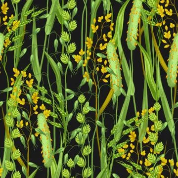 Seamless pattern with herbs and cereal grass. Floral ornament of meadow plants Stock Illustration