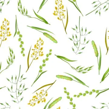 Seamless pattern with herbs and cereal grass. Floral ornament of meadow plants Stock Illustration